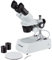 AmScope SE306R-PZ Kompaktes Stereomikroskop mit Mehreren Objektiven und abgewinkeltem Kopf, Metallsäulenständer, Halogenbeleuchtung Oben und unten, 20X-80X