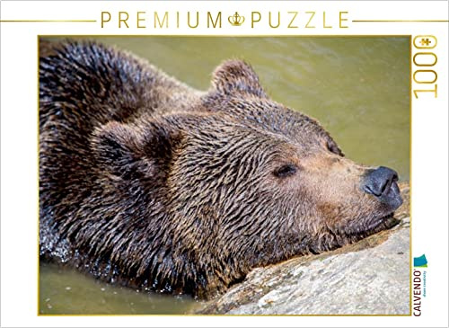 CALVENDO Puzzle Braunbär | 1000 Teile Lege-Größe 64 x 48 cm Foto-Puzzle für glückliche Stunden