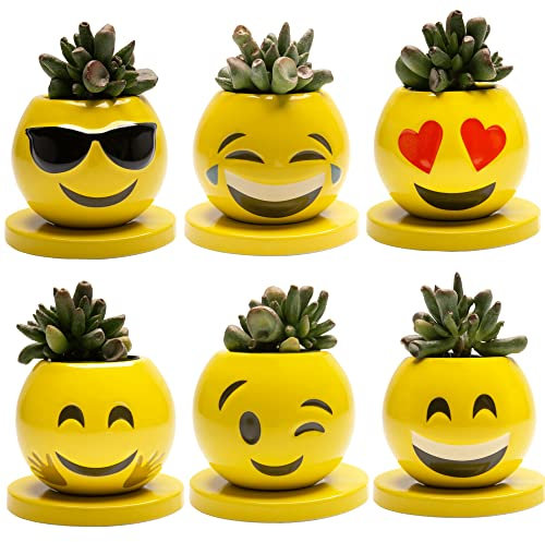 Claymoji Gesicht Pflanzgefäß, niedliche Sukkulenten Töpfe, Sukkulenten Pflanzgefäße & Drainage und passende Untertasse, kleine Pflanzgefäße, kleine Blumentöpfe