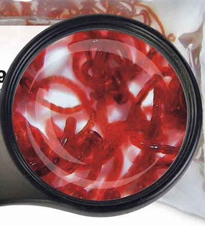 Lebendfutter SAHAWA Fischfutter Verschiedene Sorten zur Auswahl 45ml oder 90 ml (Rote Mückenlarven 45 ml)
