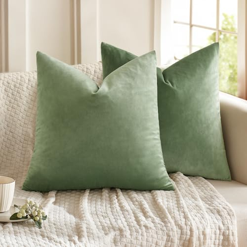 MIULEE 2er Set Samt Soft Solid Dekorative Quadrat Wurf Kissenbezüge Set Kissen Fall für Sofa Schlafzimmer Erbsen Grün 20x20 Zoll 50x50 cm