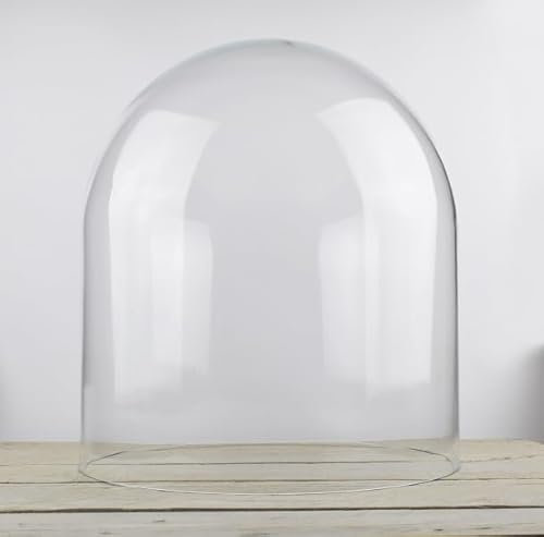 EMH Campana de cristal grande de 40 x 35,5 cm