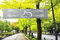 Folat Banier 25 Jubileum 180x40cm