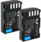 2X SK Akku Ersatz für Panasonic DMW-BLF19E | 2040mAh | DMW-BLF19 DMW BLF19 BLF19E Lumix DMC-GH3 DMC-GH4 // DC-GH5 DC-GH5S DC-G9 DC-G9L DC-G9MEG