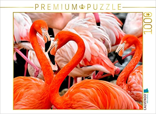 CALVENDO Puzzle Flamingo | 1000 Teile Lege-Größe 64 x 48 cm Foto-Puzzle für glückliche Stunden