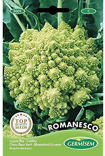 Germisem Romanesco Semi di Cavolfiore 2 g
