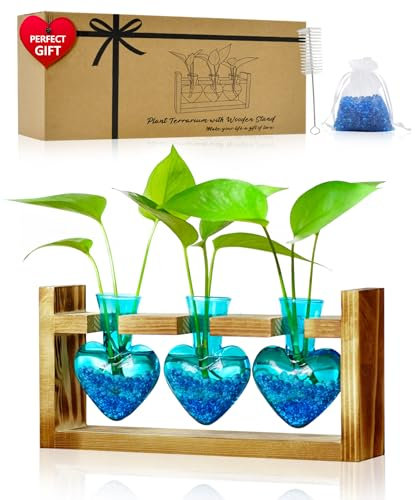 Nacome Terrarium de plante pour décoration de bureau : support en bois pour pot de fleurs de table à 3 ampoules, support pivotant en métal pour culture hydroponique, décoration de maison, jardin,