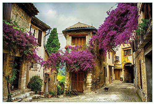 Wallario Küchenrückwand selbstklebend 90 x 60 cm, Motiv: Malerische Stadt in der Provence mit bunten Blumen | Spritzschutz abwischbar & pflegeleicht