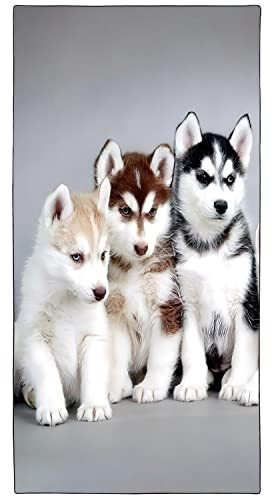 Zomer Strandtuch groß 90x180 cm Schnelltrocknendes Mikrofaser Bedrucktes mit Husky Welpen Motiv