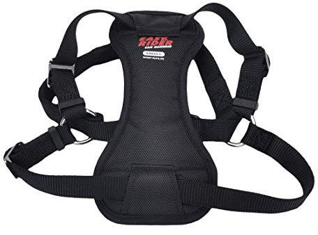 Coastal - Easy Rider - Adjustable Dog Car Harness, Black, SML (16-24)
