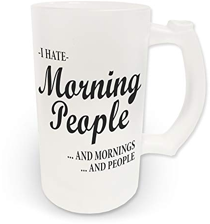 16oz I Hate Morning People Funny Novelty Frosted Glass Beer Stein