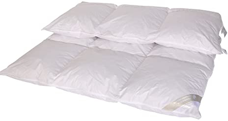 Luxus Winter Daunenbett Daunendecke 3x4 155x220 warm 100% Neue Landdaunen