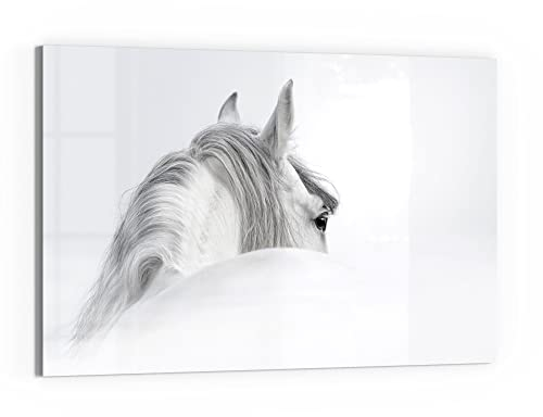 DEQORI Glas-Magnettafel | 60x40 cm groß | Motiv Andalusisches Pferd | Memo-Board aus Glas | Magnetboard inkl. Magnete, Stift & Tuch für Küche & Büro | Tafel magnetisch & beschreibbar