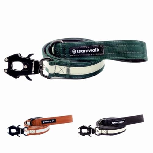 teamwalk® Premium Hundeleine - mit Leuchtstreifen, weicher Polsterung, robuster Schnalle, (Waldgrün, Leine Waldgrün(130cm)) - perfekt abgestimmte Länge, für eine Gute Leinenführichkeit.