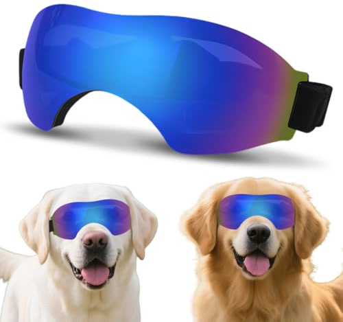 XFSRG Hunde Sonnenbrille Gebogene Panoramaform Hundebrille Kleine Hundesonnenbrille Kleine Rassen Hunde Motorradbrille Hundeschutzbrille UV Schutz für Outdoor Reise Spaziergang (Blau)