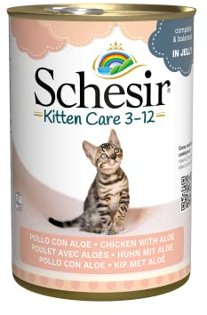 Schesir Cat Jelly Kitten Thunfisch mit Aloe Vera, Katzenfutter nass für Kätzchen in Gelee, 24 Dosen x 140 g
