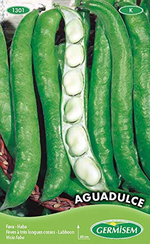 Germisem Aguadulce Graines de Fèves 100 g