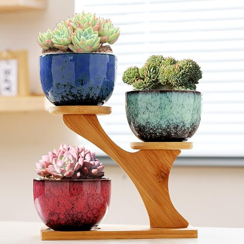 Simcat Ceramic Succulent Plant Pot Set of 3, Succulent Pots with 3 Tier Bamboo Saucers Stand Holder,Small Indoor Plant Pots with Drainage, Plant Gifts for Home Garden Office (3)