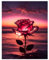 Rose Diamond Painting Erwachsene Rote Rosenblüte Diamant Painting Full DIY Diamant Kunst Malerei Stickerei Set Home Wand Dekor Geschenk 30x40cm