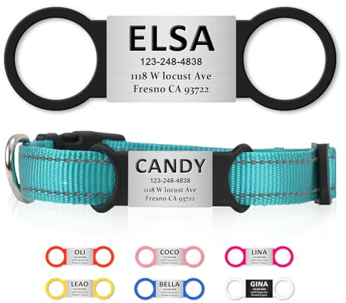 Personalized Dog and Cat Tag, Clear Without Noise, Stainless Steel Colored Cat Dog Name Collar Tag, Slide on Pet ID Tags, Engraved Tags Personalized for Pets(Black+Silver)