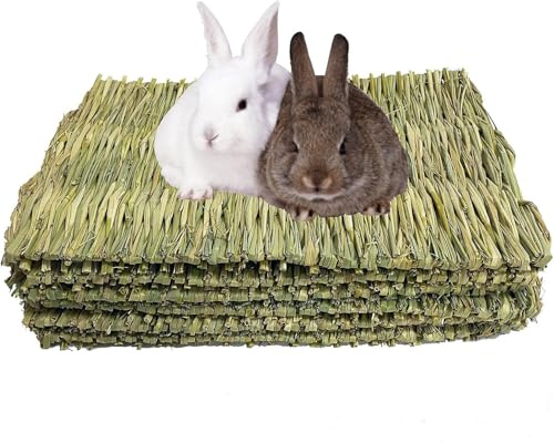 Encuryna 5 Stück Kleintier Grasmatten,28CM Tier-Kauspielzeug,Grasmatte Gewebte Bettmatte für Kleintiere Kaninchen-Bett, für Hamster, Kaninchen, Papageien Meerschweinchen und Frettchen