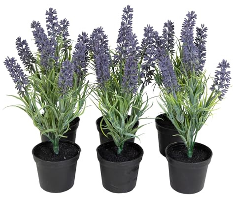 Seidenblumen Roß 6 Stück Mini - Lavendel 22cm lila im Topf JA Kunstblumen Kunstpflanzen künstliche Blumen Pflanzen