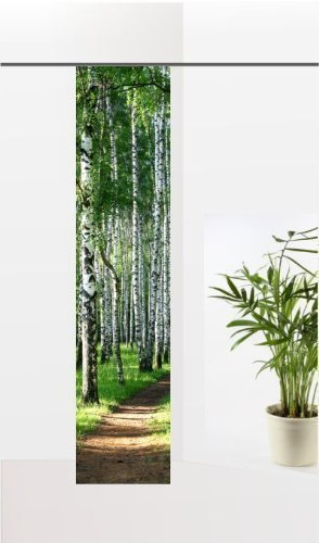gardinen-for-life Flächenvorhang Birkenwald, Frühlings - Schiebevorhang, Gr.60x260 cm