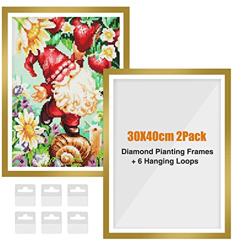 RICUVED 2 Packungen Diamant Painting Rahmen Gold, Diamond Painting Bilderrahmen 30x40 cm, 5D Diamond Painting Rahmen Picture for Diamant Malerei 30x40 cm Diamond Painting Frame mit Haken(Gold)
