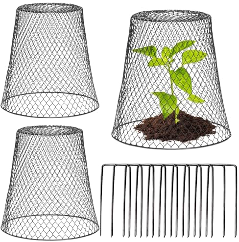 IME Plant Protector Cover Chicken Wire Cloche 3PCS Metal Plants Cage Protector Baskets Garden Protection Covers with 10PCS Garden Stakes from Rabbits Bird Chicken Squirrels Other Small Animals