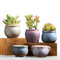 Lot de 5 Pots de Fleurs en Céramique,l'intérieur et l'extérieur, Pot de Succulent Jolie Déco pour la Maison, Le Bureau, Le Rebord de Fenêtre
