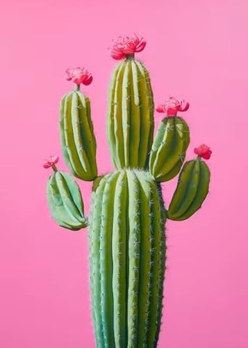 Abstrakte Bunte Kaktus Botanische Leinwand Malerei Moderne Poster Druck Wand Kunst Wohnzimmer Home Decor Kein Rahmen-C_30x40cm