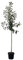 Apfelbaum Ingrid Marie roter Herbstapfel Weihnachtsapfel Halbstamm 150-170 cm 10 L Topf Unterlage M7