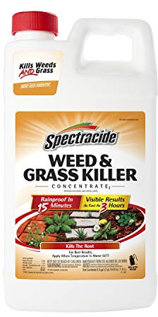 Spectracide Weed & Grass Killer Concentrate2 (HG-56201)