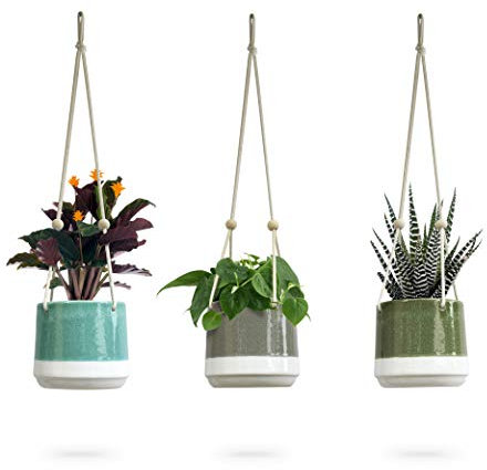 Ceramic Hanging Planter, Colorful Succulent Pots, Round Plant Holder Container, Cactus Pot with Cotton Rope Hanger, Indoor Outdoor Decor, 23 Bees (3 Pack x Pop of Color)