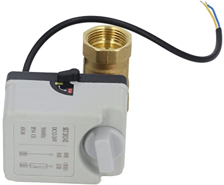Mothinessto Elektrischer Kugelhahn DN25, stromlos geschlossen, korrosionsbeständig IP54-Schutz, DC 12-24 V, 2-Draht-Kugelhahn, 1 Zoll Rohrgewinde für Übertragungsgeräte