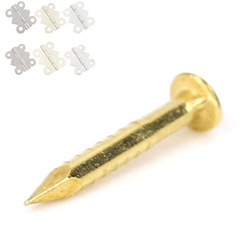 100Pcs Brass Nails, Brass Rosette Nails Rosette Pins Round Head Brass Brad Nail for Wood, for Hanging Picture Frame Mirrors Furniture Hinge Hardware Accessories (10mm Long)
