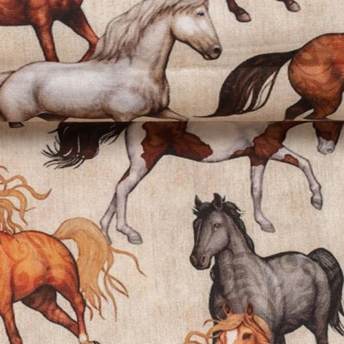 Baumwollstoff Kinder Motive Meterware – 100 % Baumwolle – 147 cm breit – Öko-Tex Standard 100 – ideal für Schultüten, Kinderkleidung, Kissen, Deko – ab 50 cm (Pferde, beige)