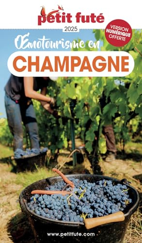 Guide Oenotourisme En Champagne 2026 Petit Futé (2026)