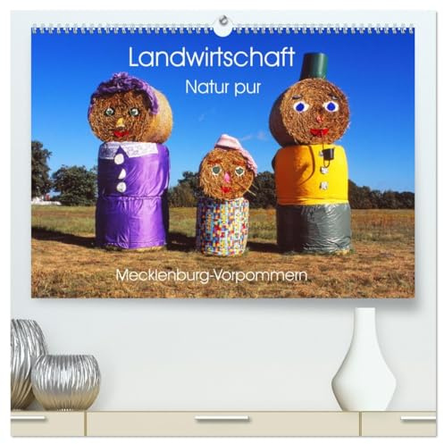 Landwirtschaft Natur pur Mecklenburg-Vorpommern (hochwertiger Premium Wandkalender 2026 DIN A2 quer), Kunstdruck in Hochglanz: Landschaft aus einem anderem Blickwinkel betrachten. (CALVENDO Natur)