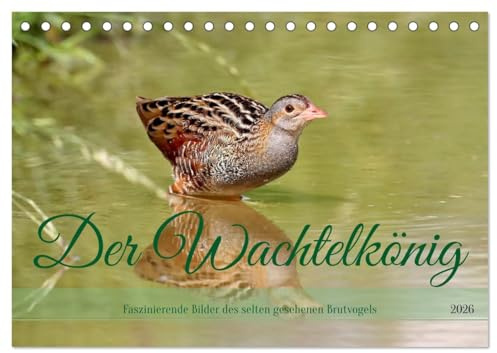 Der Wachtelkönig (Tischkalender 2026 DIN A5 quer), CALVENDO Monatskalender: Faszinierende Bilder des selten gesehenen Brutvogels (CALVENDO Tiere)