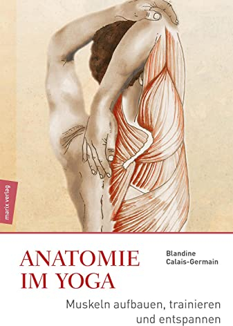 Anatomie im Yoga: Muskeln aufbauen, trainieren und entspannen