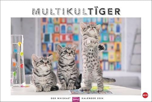 Whiskas Katzenkalender 2024. Foto-Wandkalender mit süßen Katzen und lustigen Geschichten. Wandkalender 2024 in schönem Design. Bildkalender 2024. Querformat 45 x 30 cm.