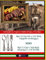Recetas de cocina tradicionales 100 Recetas caseras Basque Country
