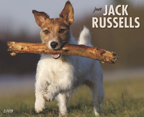 Just Jack Russells 2009 Calendar