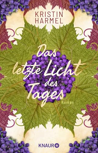 Das letzte Licht des Tages: Roman. Die dramatische Résistance-Geschichte einer französischen Familie bei Ausbruch des 2. Weltkriegs