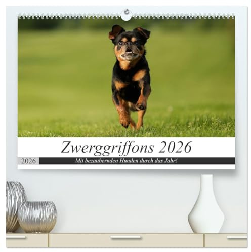 Zwerggriffons 2026 (hochwertiger Premium Wandkalender 2026 DIN A2 quer), Kunstdruck in Hochglanz: Jeden Monat ein anderer bezaubernder Zwerggriffon! (CALVENDO Tiere)