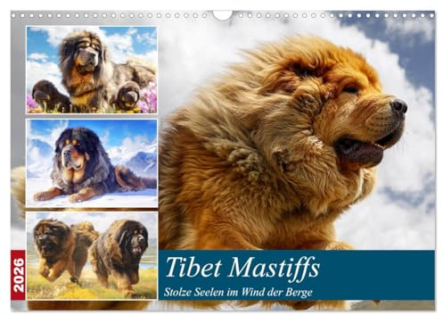 Tibet Mastiffs. Stolze Seelen im Wind der Berge (Wandkalender 2026 DIN A3 quer), CALVENDO Monatskalender: Wildromantische Bilder von majestätischen und kraftvollen Hunden (CALVENDO Tiere)
