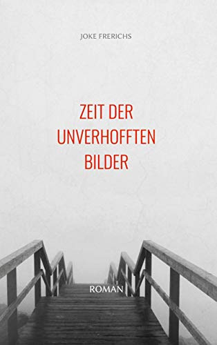 Zeit der unverhofften Bilder: Roman