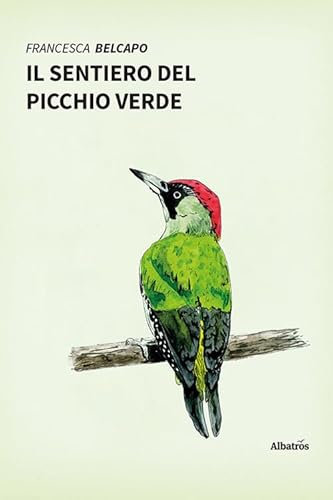 Il sentiero del picchio verde. Ediz. a colori