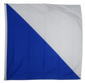 Flaggenfritze Bandiera/Bandiera Svizzera Canton Zurigo – 150 x 150 cm + GRATIS Sticker Bandiera, XXL